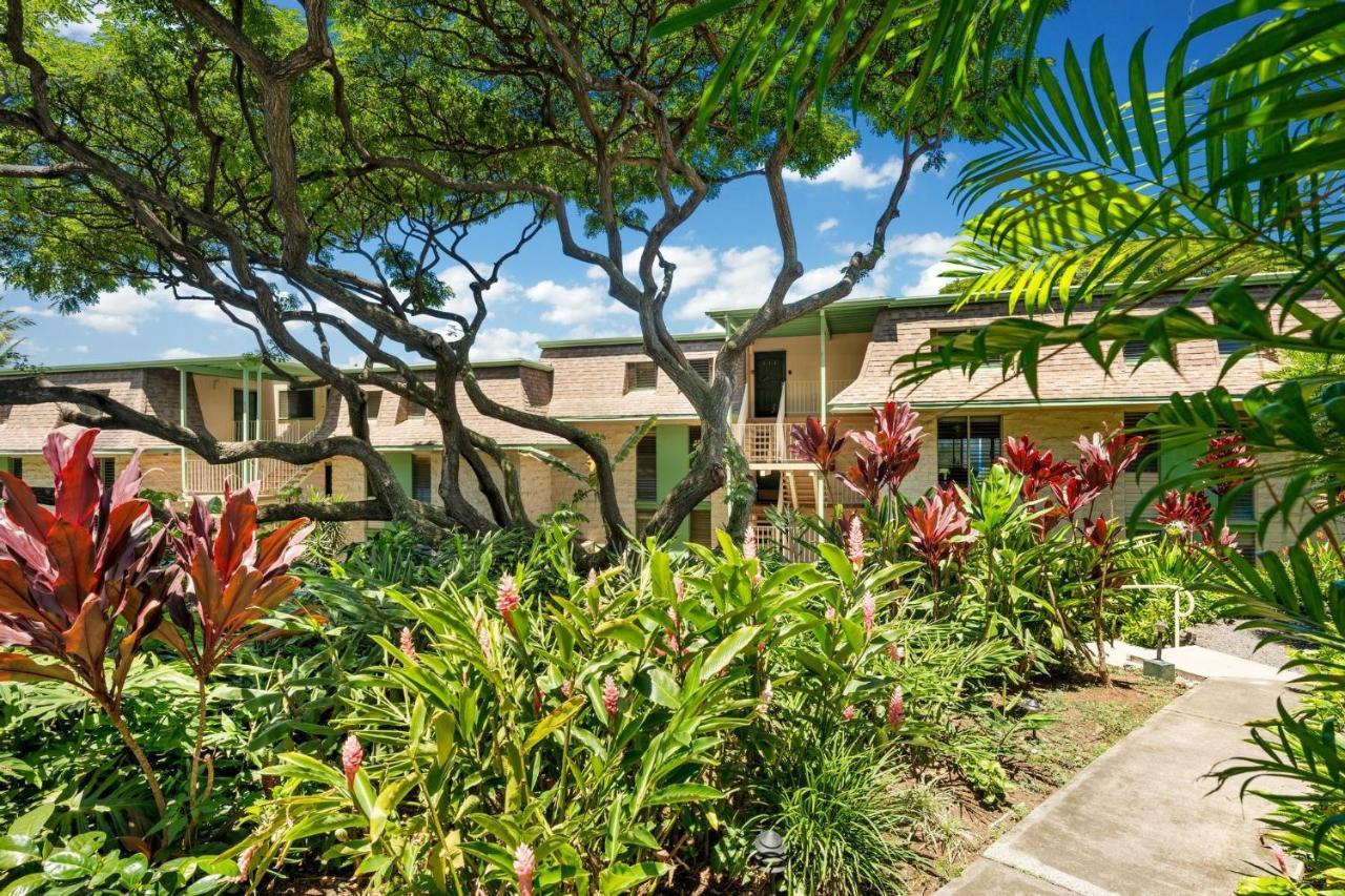 Big Island Keauhou Akahi #311 Home Kailua-Kona Ngoại thất bức ảnh